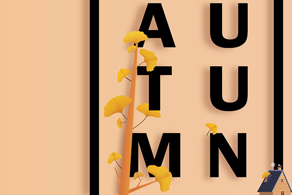 5 Proven Best Tips to Sleep Better