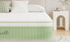 Vesgantti 10 Inch Hybrid Mattress with Memory Foam & Individually Pocket Spring, Medium Firm Orthopedic Mattress for Pressure Relief & Motion Isolation