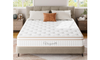 Vesgantti 10.2-Inch Hybrid Mattress - Medium Firm, Breathable Foam, Pocket Springs, Edge Support & Motion Isolation