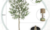 YOLEO 4FT/5FT/6FT/7FT Artificial Olive Tree Faux Silk Olive Plant for Home Office Decor Indoor Lifelike Fake Tree