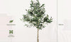YOLEO 4FT/5FT/6FT/7FT Artificial Olive Tree, Faux Olive Silk Tree Indoor, Lifelike Fake Plant for Living Room Bedroom Balcony Corner Office Decor