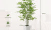 YOLEO 5FT/6FT Artificial Bamboo Tree with White Tall Planter, Lifelike Fake Silk Tree Indoor, Faux Bamboo Tall Plant for Living Room Bedroom Balcony Corner Office Deco