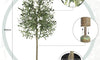 YOLEO 4FT/5FT/6FT/7FT Artificial Olive Tree Faux Silk Olive Plant for Home Office Decor Indoor Lifelike Fake Tree