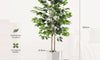 YOLEO 5FT/6FT Artificial Ficus Tree with White Tall Planter, Lifelike Fake Silk Tree Indoor, Faux Ficus Tall Plant for Living Room Bedroom Balcony Corner Office Decor