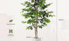 YOLEO 5FT/6FT Artificial Ficus Tree with White Tall Planter, Lifelike Fake Silk Tree Indoor, Faux Ficus Tall Plant for Living Room Bedroom Balcony Corner Office Decor