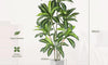 YOLEO 5FT/6FT Artificial Dracaena Tree with White Tall Planter, Lifelike Fake Silk Tree Indoor, Faux Dracaena Tall Plant for Living Room Bedroom Balcony Corner Office Decor