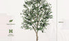 YOLEO 4FT/5FT/6FT/7FT Artificial Olive Tree, Faux Olive Silk Tree Indoor, Lifelike Fake Plant for Living Room Bedroom Balcony Corner Office Decor