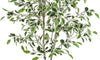 YOLEO 5FT Artificial Ficus Tree with White Tall Planter, Lifelike Fake Silk Tree Indoor, Faux Ficus Tall Plant for Living Room Bedroom Balcony Corner Office Decor
