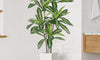 YOLEO 5FT/6FT Artificial Dracaena Tree with White Tall Planter, Lifelike Fake Silk Tree Indoor, Faux Dracaena Tall Plant for Living Room Bedroom Balcony Corner Office Decor
