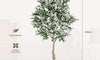 YOLEO 4FT/5FT/6FT/7FT Artificial Olive Tree, Faux Olive Silk Tree Indoor, Lifelike Fake Plant for Living Room Bedroom Balcony Corner Office Decor