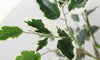 YOLEO 5FT Artificial Ficus Tree with White Tall Planter, Lifelike Fake Silk Tree Indoor, Faux Ficus Tall Plant for Living Room Bedroom Balcony Corner Office Decor