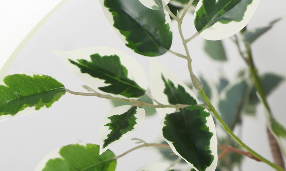 YOLEO 5FT Artificial Ficus Tree with White Tall Planter, Lifelike Fake Silk Tree Indoor, Faux Ficus Tall Plant for Living Room Bedroom Balcony Corner Office Decor
