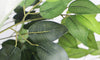 YOLEO 5FT/6FT Artificial Ficus Tree with White Tall Planter, Lifelike Fake Silk Tree Indoor, Faux Ficus Tall Plant for Living Room Bedroom Balcony Corner Office Decor