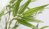 YOLEO 5FT/6FT Artificial Bamboo Tree with White Tall Planter, Lifelike Fake Silk Tree Indoor, Faux Bamboo Tall Plant for Living Room Bedroom Balcony Corner Office Deco