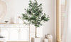 YOLEO 4FT/5FT/6FT/7FT Artificial Olive Tree, Faux Olive Silk Tree Indoor, Lifelike Fake Plant for Living Room Bedroom Balcony Corner Office Decor
