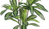 YOLEO 5FT/6FT Artificial Dracaena Tree with White Tall Planter, Lifelike Fake Silk Tree Indoor, Faux Dracaena Tall Plant for Living Room Bedroom Balcony Corner Office Decor