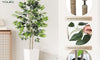 YOLEO 5FT/6FT Artificial Ficus Tree with White Tall Planter, Lifelike Fake Silk Tree Indoor, Faux Ficus Tall Plant for Living Room Bedroom Balcony Corner Office Decor