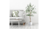 YOLEO Artificial Olive Tree Tall Faux Silk Olive Plant Lifelike Fake Tree for Home Office Indoor Decor