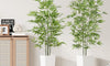 YOLEO 5FT/6FT Artificial Bamboo Tree with White Tall Planter, Lifelike Fake Silk Tree Indoor, Faux Bamboo Tall Plant for Living Room Bedroom Balcony Corner Office Deco
