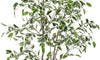 YOLEO 5FT Artificial Ficus Tree with White Tall Planter, Lifelike Fake Silk Tree Indoor, Faux Ficus Tall Plant for Living Room Bedroom Balcony Corner Office Decor