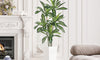 YOLEO 5FT/6FT Artificial Dracaena Tree with White Tall Planter, Lifelike Fake Silk Tree Indoor, Faux Dracaena Tall Plant for Living Room Bedroom Balcony Corner Office Decor