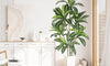YOLEO 5FT/6FT Artificial Dracaena Tree with White Tall Planter, Lifelike Fake Silk Tree Indoor, Faux Dracaena Tall Plant for Living Room Bedroom Balcony Corner Office Decor