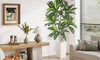 YOLEO 5FT/6FT Artificial Dracaena Tree with White Tall Planter, Lifelike Fake Silk Tree Indoor, Faux Dracaena Tall Plant for Living Room Bedroom Balcony Corner Office Decor