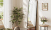 Dripex Arch/Rectangular Mirror Full Length, 160 x 50cm/150 x 40cm Full Body Floor Mirror with Stand, Standing/Leaning/Hanging for Living Room Bedroom