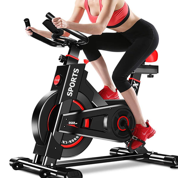 flywheel sports bike|Dripex-robustsport.com