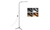 4 Colour Temperatures Adjustable Led Floor Lamp